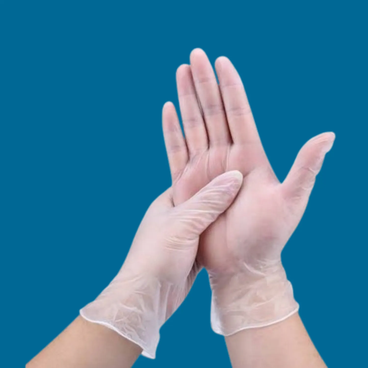 Vinyl Gloves - Disposable Powder Free Clear Vinyl Gloves [1000 Case]