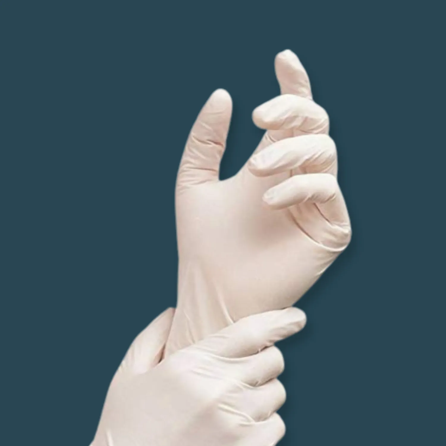 Disposable Latex Gloves Powder Free [1000 Pack]