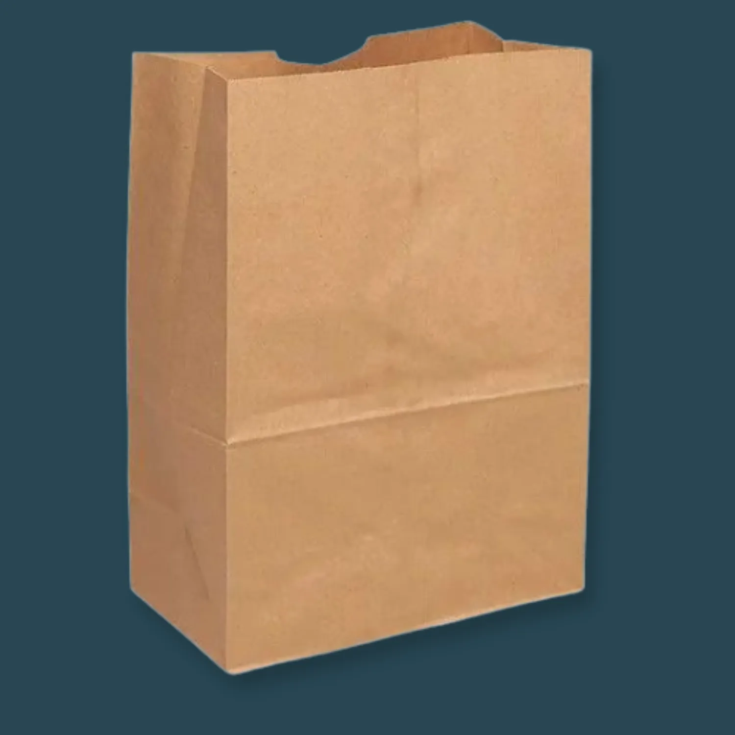 1/6 Kraft Paper Grocery Bag [500 Pack]